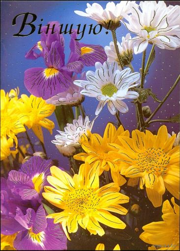 2003 ДМПК Беларусь Поздравляю