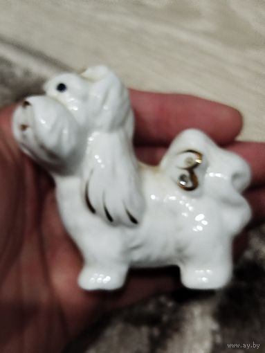 Шикарный фарфоровый пуделек,с рубля