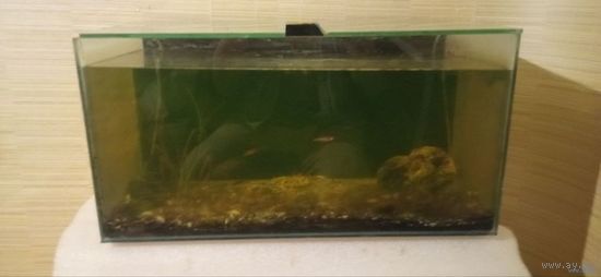 Аквариум на 45-50 литров,компрессор,грунт,сачок и много корма для рыбок(Состояние отличное)