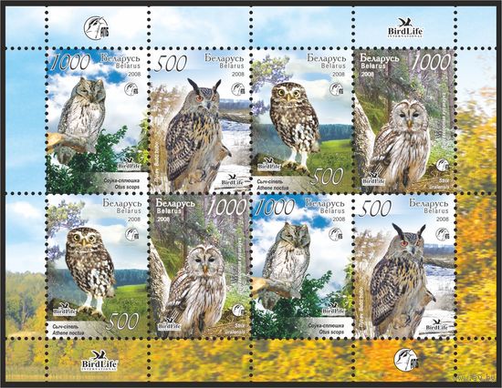 2008 БЕЛАРУСЬ  малый лист коллекционных марок "Птицы Беларуси .Совы " MNH