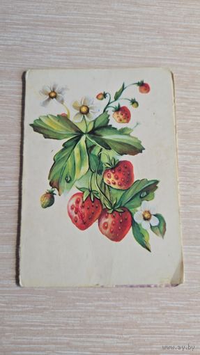 Открытка Старая