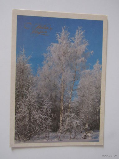 С Новым годом! Фото В. Дорожинского 1988