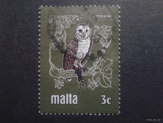 Мальта 1981 сова