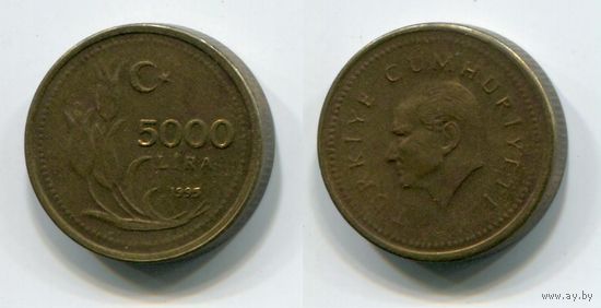 Турция. 5000 лир (1995)