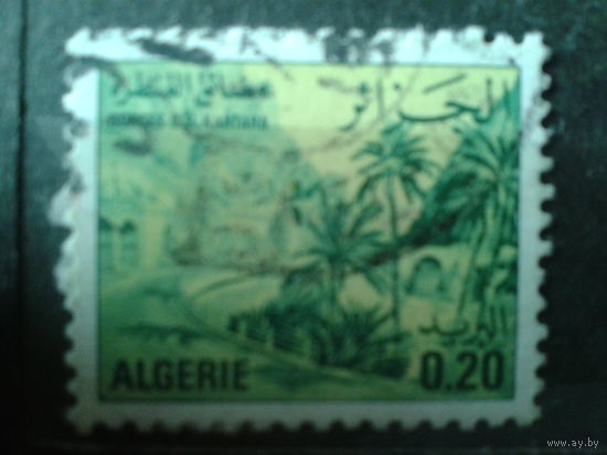 Алжир 1977 Стандарт, флора