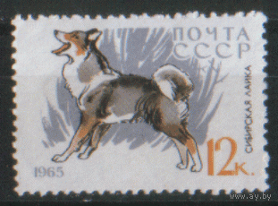 З. 3081. 1965. Сибирская лайка. ЧиСт.