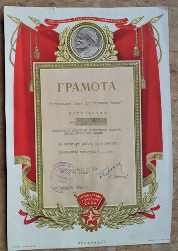 Грамота Центрального Совета ДСО " Красное знамя " 1960 г.