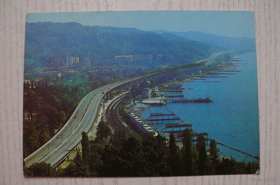 Сочи. Хоста; 1982, чистая.