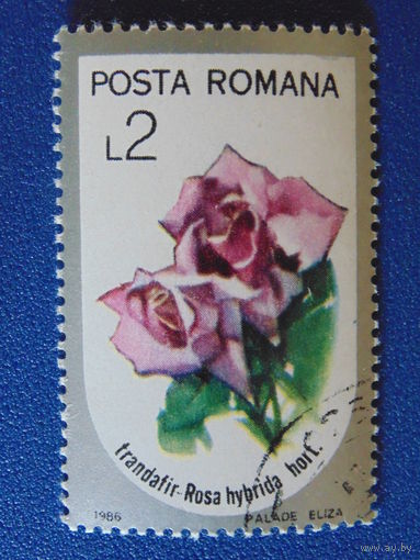 Румыния 1986 г. Цветы.