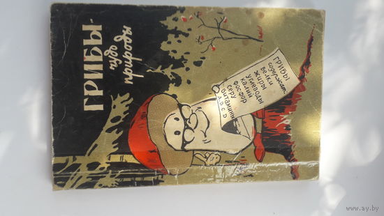 Книга Грибы-чудо природы.1964.