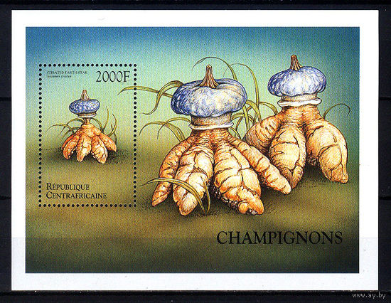 1999 ЦАР. Грибы