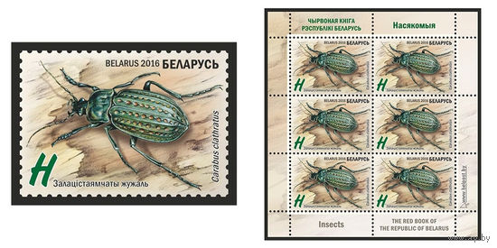 2016 БЕЛАРУСЬ   марка или малый лист "Золотистоямчатая жужелица" MNH