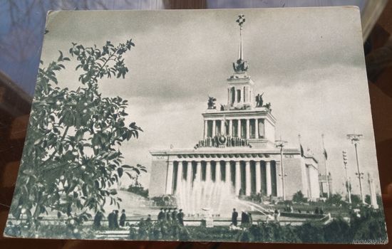 1955 год Москва ВСХВ Главный павильон