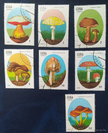 Куба 1988 Грибы