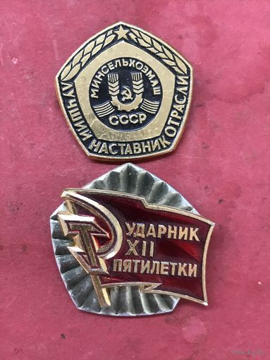 Лучший наставник от отрасли.цена за два.