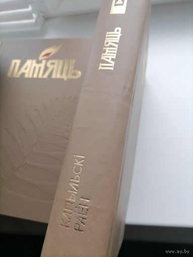 Книга Память Копыльский р-н