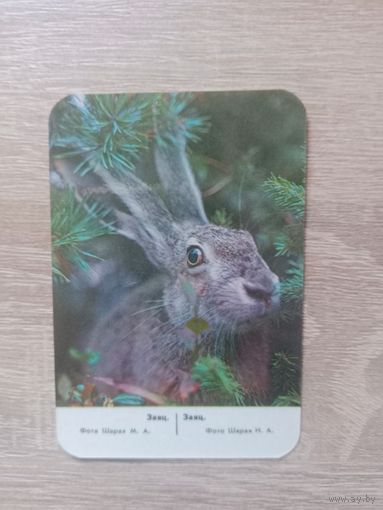 Календарик 1988