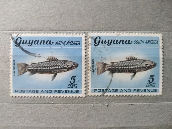 Гвинея. Фауна.