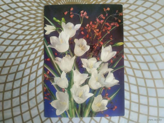 Открытка СССР 1989 год.   Чистая. И.Дергилев . Состояние на скане.