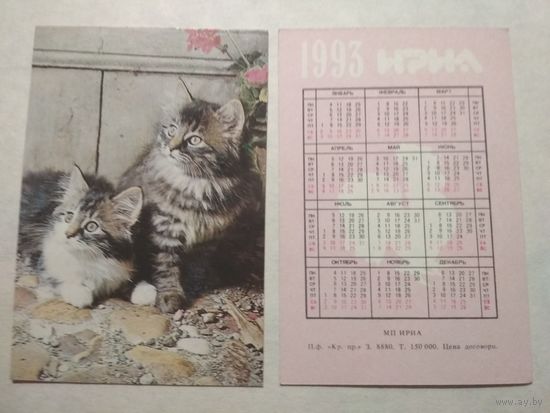 Карманный календарик. Котик.1993 год