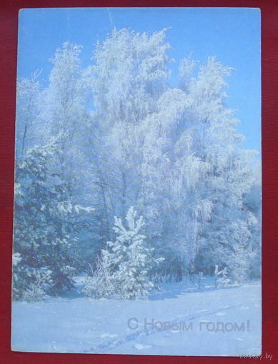 С новым годом! Чистая. 1990 года. Фото Дорожинского. 74.