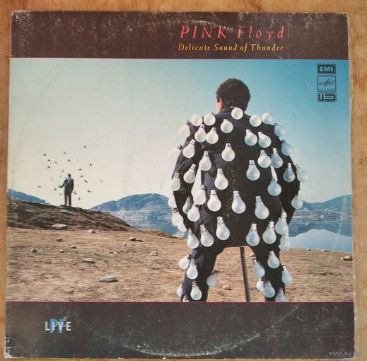 Pink Floyd - Delicate Sound Of Thunder -2LP. Фирма "Мелодия