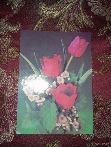 Открытка СССР, 1990г., фото И. Дергилева