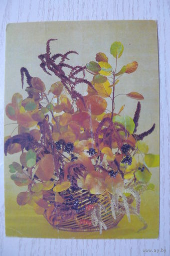 Шварц Л., Композиция из цветов; 1989, 1990, подписана.