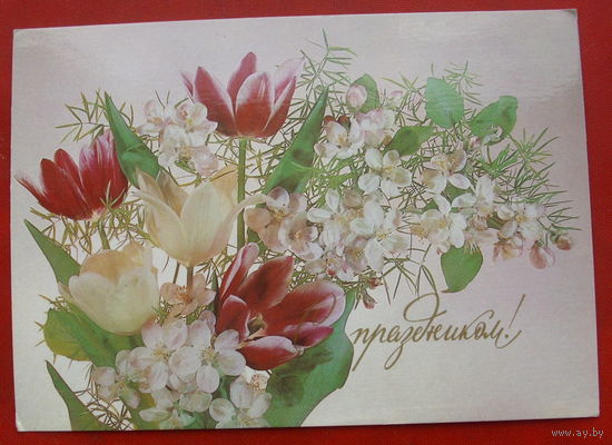 С праздником! Чистая. 1989 года. Дергилева. 1571.