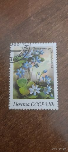 СССР 1983. Печеночница благородная. Марка из серии