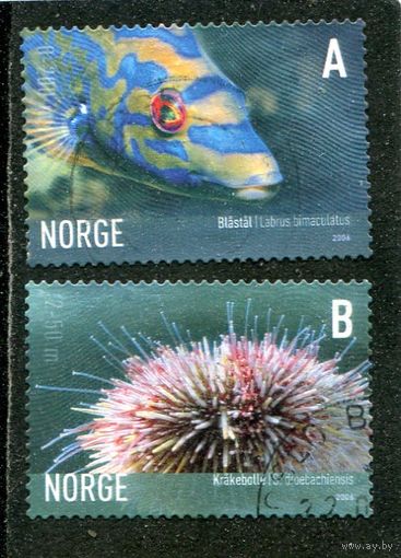 Норвегия. Морская фауна, вып.4