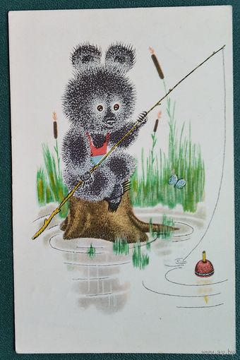 Голубев А. Клюет. 1965 г. Подписана.