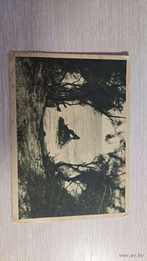 Открытка 1927 года