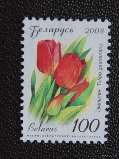 Беларусь 2008 г. Стандарт.