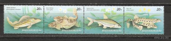 ФФ1 Венгрия 1997 Рыбы