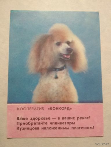 Карманный календарик. Собака. 1993 год