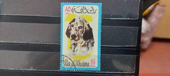 РАСПРОДАЖА РАС-ЭЛЬ ХАЙМА 1971г. Гаш.