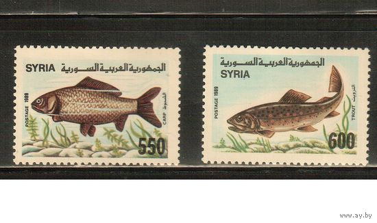 Сирия-1989 ,(Мих.1769-1770)  **  Морская  Фауна, Рыбы(полная серия)