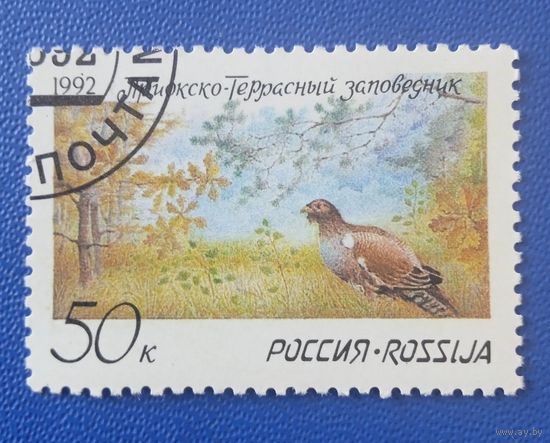 Россия