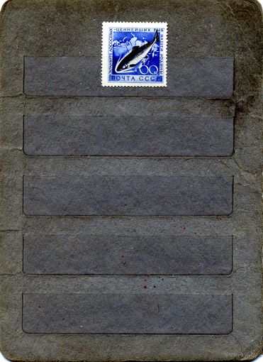 СССР, 1959, ОХРАНА МОРСК ФАУНЫ, **, 1м чистая