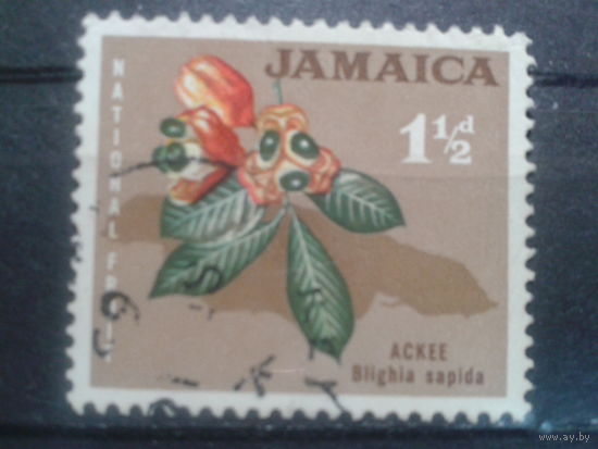 Ямайка, 1964. Слива аки