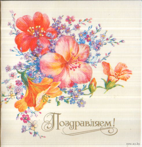 Чистая двойная открытка 1988г. "Поздравляем! Цветы" худ. Л. Видяпина