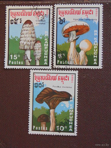 Кампучия 1989 г. Грибы.