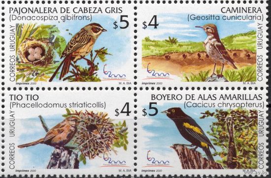 Уругвай 2000. Фауна. Птицы. 4 марки квартблок (2561)
