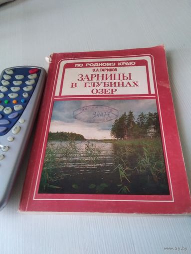 Зарницы в глубинах озер/51