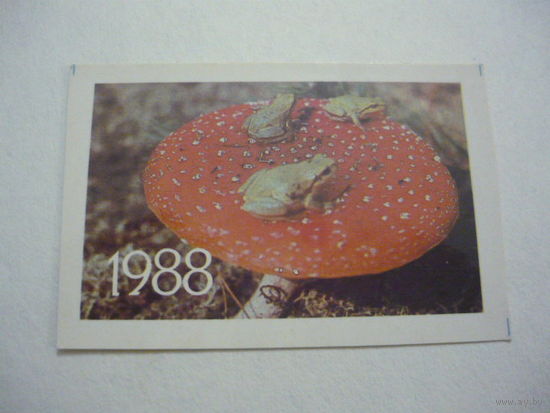 1988г.