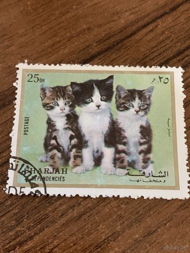 Шарджа 1972. Котята. Марка из серии