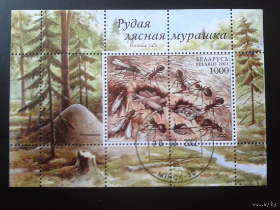 2002 Муравьи Блок