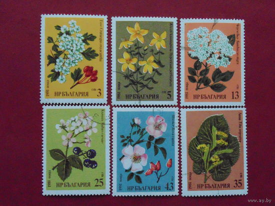 Болгария 1981г. Флора.