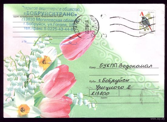 2006 год Цветы